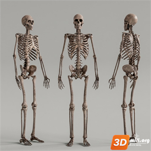 Medical Equipment Skp Files
